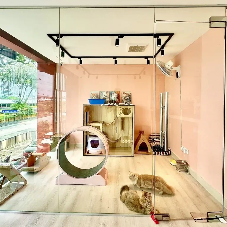 clean and cozy pet shop in Cheras
