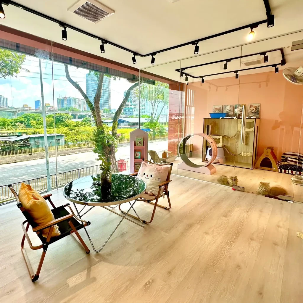 吉隆坡宠物店