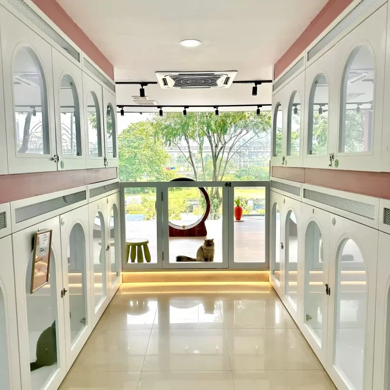 clean and cozy pet shop in Cheras