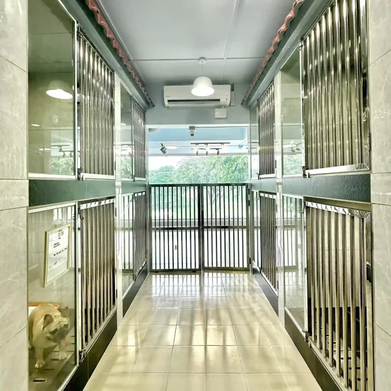 clean and cozy pet shop in Cheras
