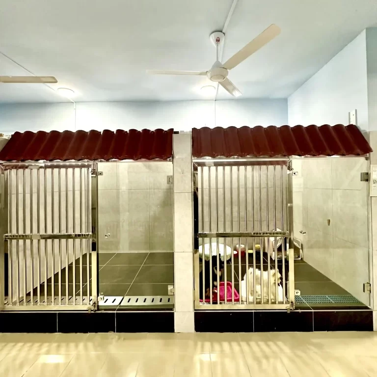 clean and cozy pet shop in Cheras