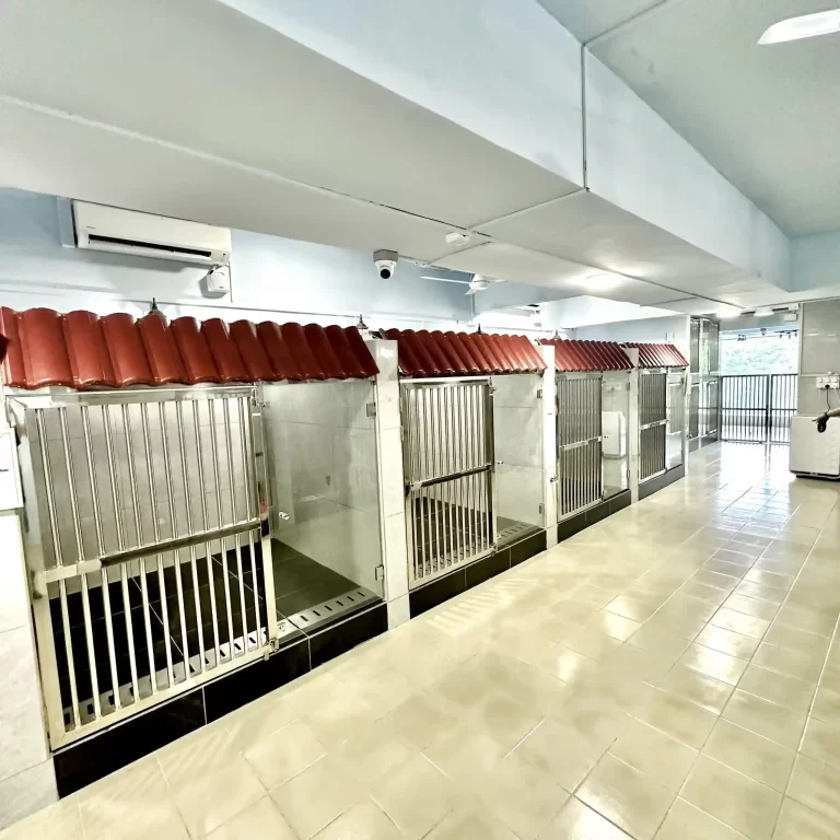 clean and cozy pet shop in Cheras