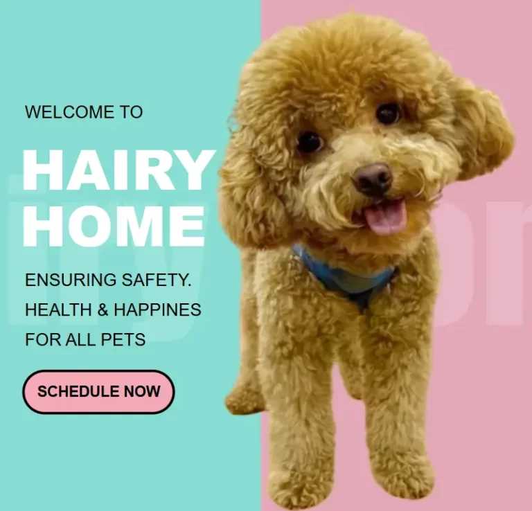 pet grooming Cheras