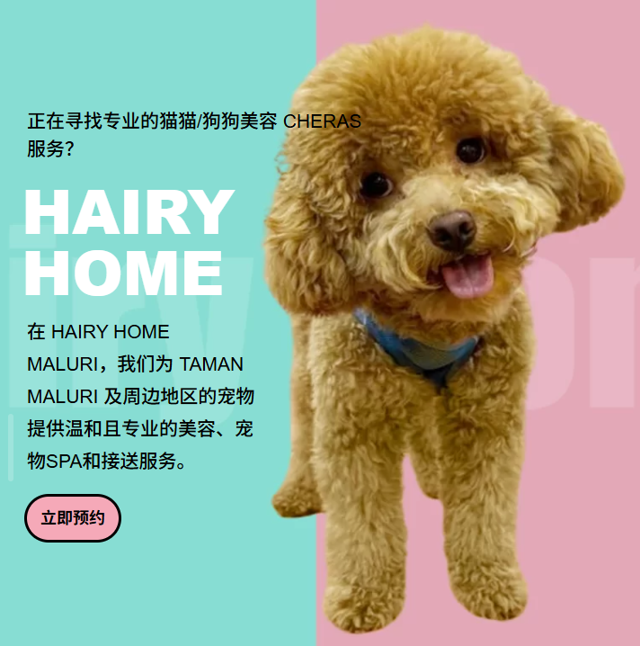 猫猫狗狗美容 Cheras