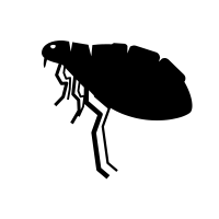 Fleas / Ticks Icon