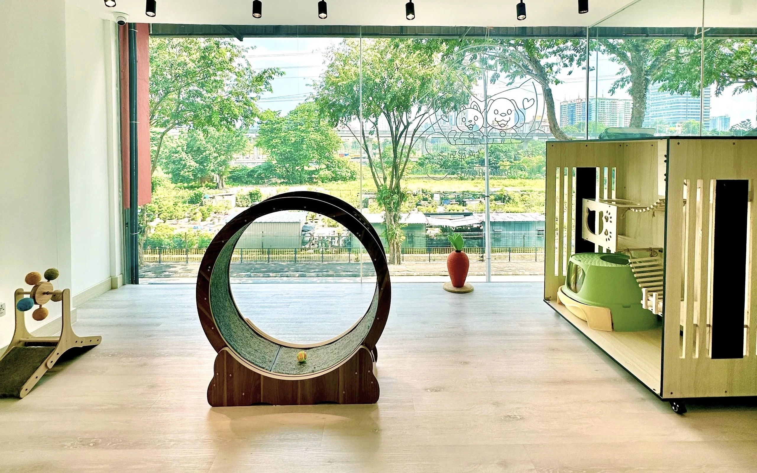 hairyhome-cat-playzone pet hotel in Cheras