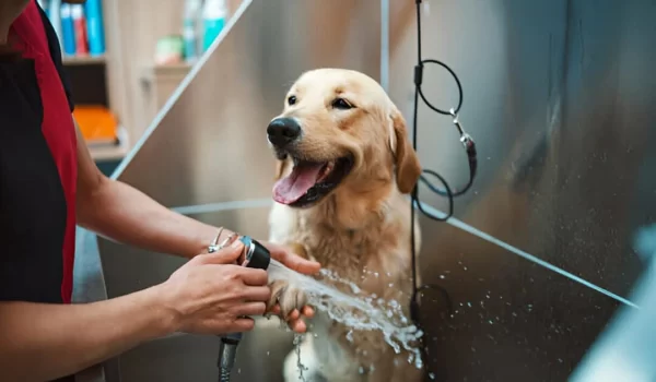 pet grooming Cheras
